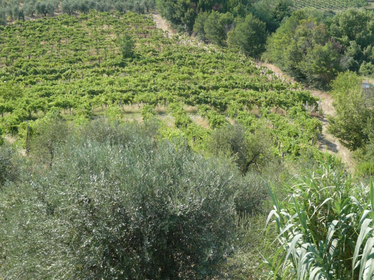Agriturismo Santa Croce San Gimignano Esterno foto